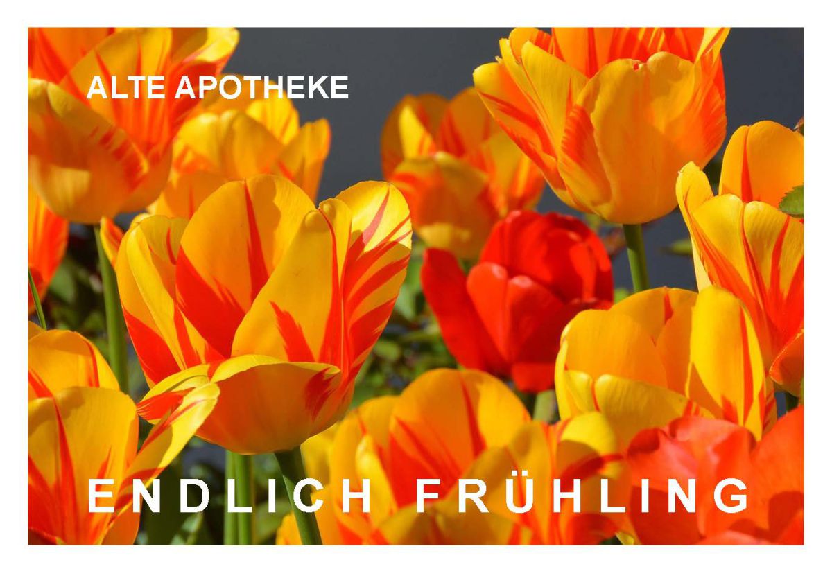 Alte Apotheke Feuerbach 