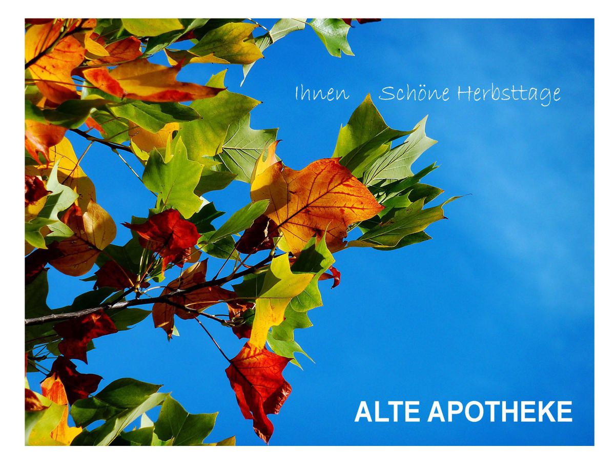 Alte Apotheke Feuerbach 